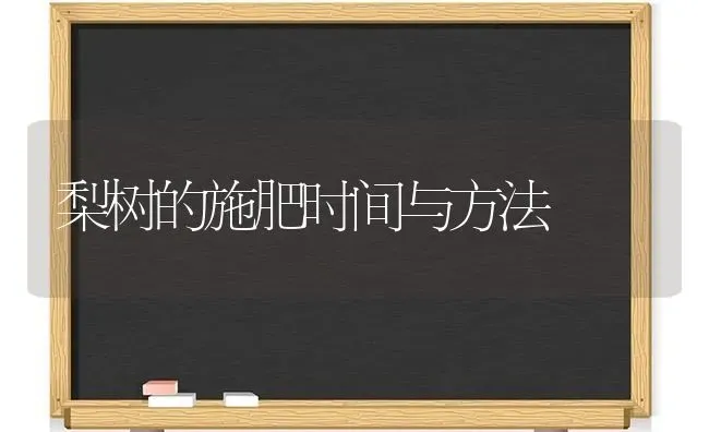 梨树的施肥时间与方法 | 种植肥料施肥