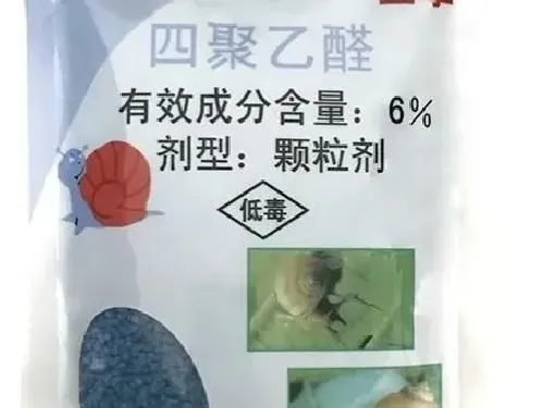 植物虫害|什么农药治蜗牛效果好（农田里蔬菜上蜗牛用什么农药清除）