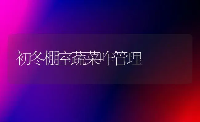 初冬棚室蔬菜咋管理 | 蔬菜种植