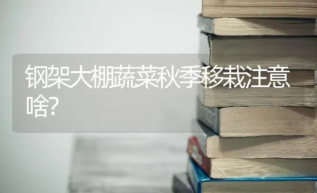 钢架大棚蔬菜秋季移栽注意啥？ | 蔬菜种植