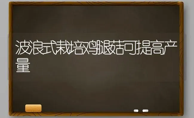 波浪式栽培鸡腿菇可提高产量 | 食用菌种植