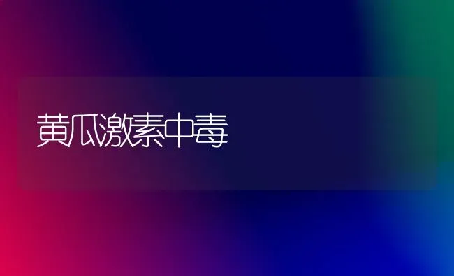 黄瓜激素中毒 | 蔬菜种植