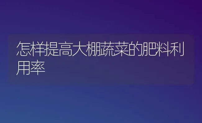 怎样提高大棚蔬菜的肥料利用率 | 蔬菜种植