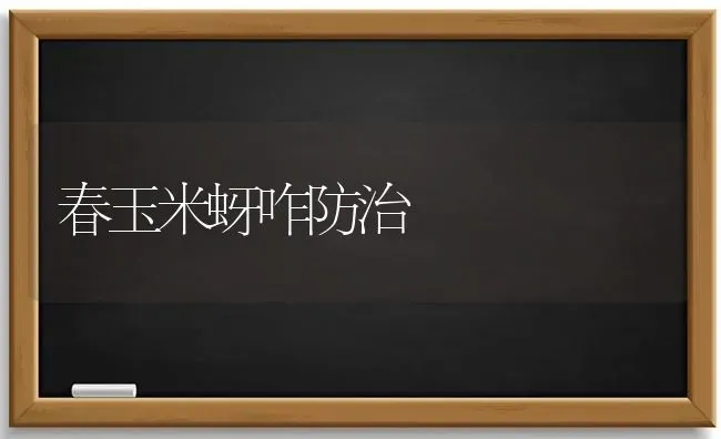 春玉米蚜咋防治 | 粮油作物种植