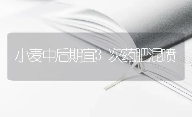 小麦中后期宜3次药肥混喷 | 粮油作物种植