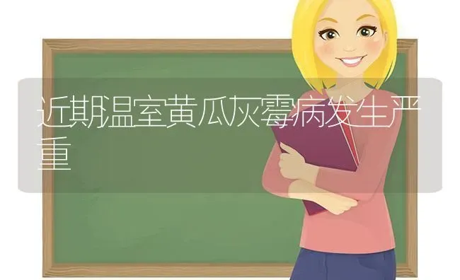 近期温室黄瓜灰霉病发生严重 | 蔬菜种植