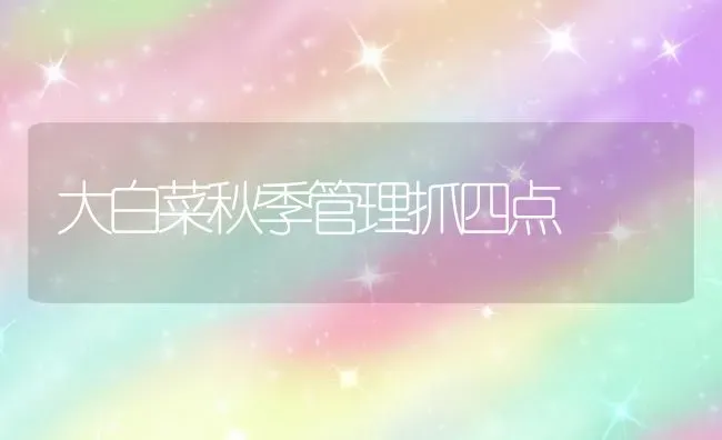 大白菜秋季管理抓四点 | 蔬菜种植