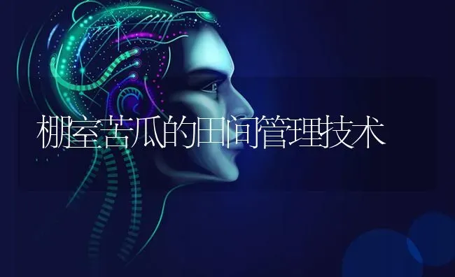 棚室苦瓜的田间管理技术 | 蔬菜种植