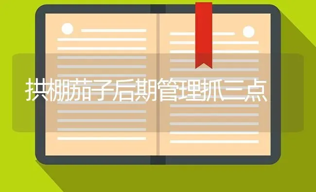 拱棚茄子后期管理抓三点 | 蔬菜种植