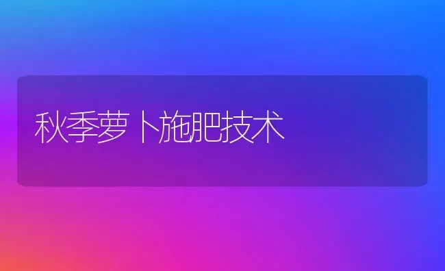 秋季萝卜施肥技术 | 种植肥料施肥