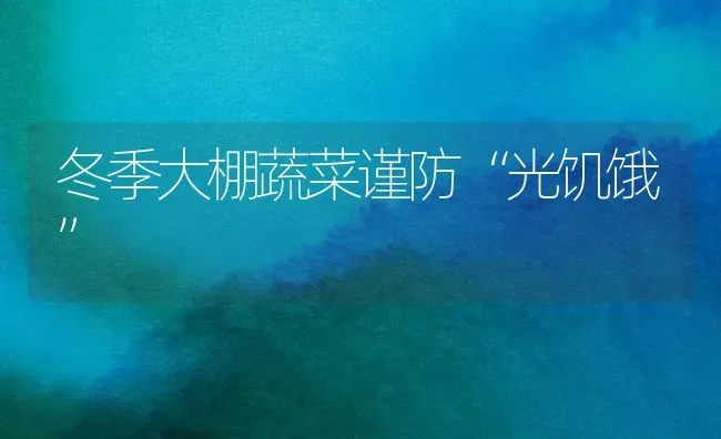 冬季大棚蔬菜谨防“光饥饿” | 蔬菜种植