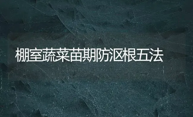 棚室蔬菜苗期防沤根五法 | 蔬菜种植