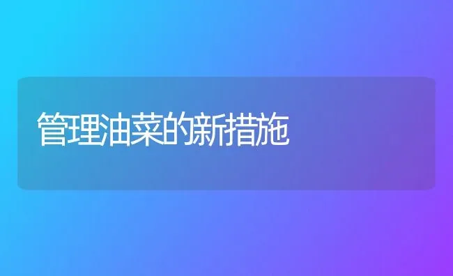 管理油菜的新措施 | 粮油作物种植