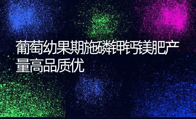 葡萄幼果期施磷钾钙镁肥产量高品质优 | 瓜果种植