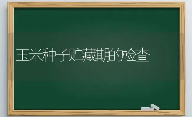 玉米种子贮藏期的检查 | 粮油作物种植