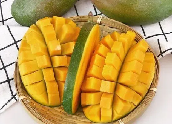 植物排行|芒果品种排名 芒果种类介绍及图片大全