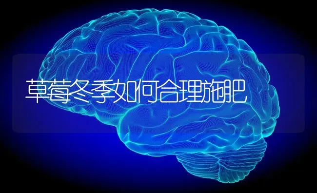 草莓冬季如何合理施肥 | 种植肥料施肥