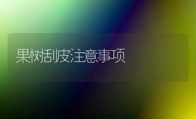 果树刮皮注意事项 | 瓜果种植