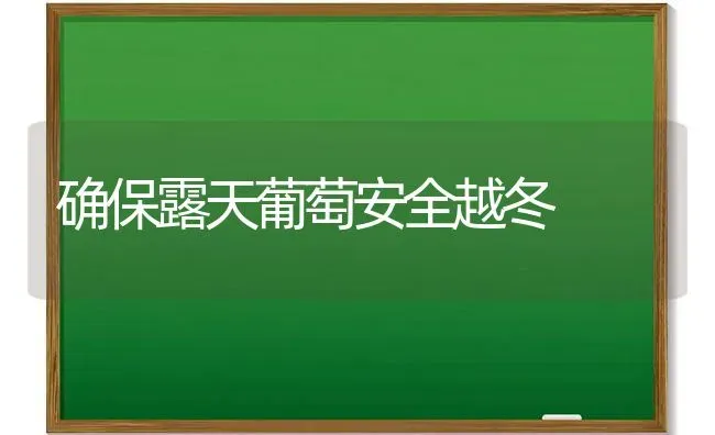 确保露天葡萄安全越冬 | 瓜果种植