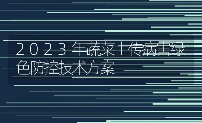 2023年蔬菜土传病害绿色防控技术方案 | 蔬菜种植