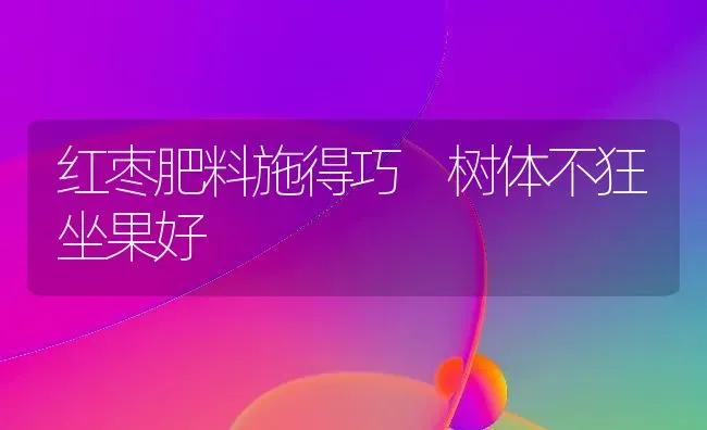 红枣肥料施得巧 树体不狂坐果好 | 瓜果种植