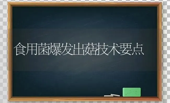 食用菌爆发出菇技术要点 | 食用菌种植