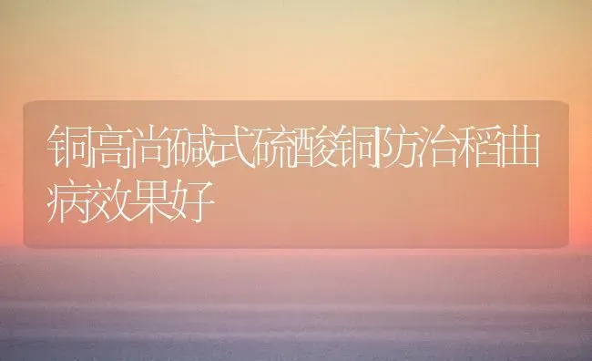 铜高尚碱式硫酸铜防治稻曲病效果好 | 瓜果种植