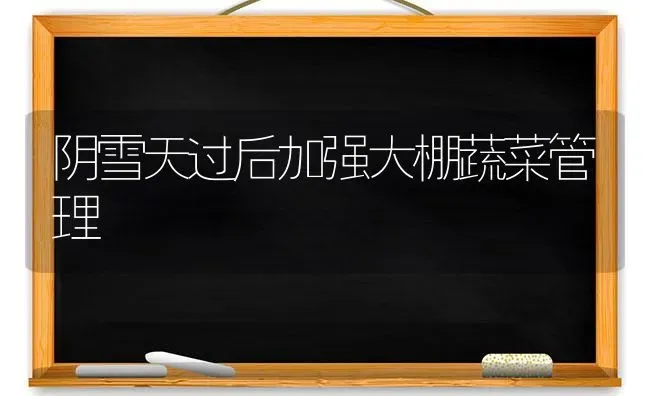阴雪天过后加强大棚蔬菜管理 | 蔬菜种植