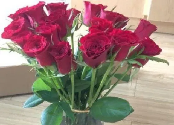 花语|30朵玫瑰代表什么花语