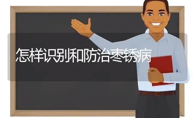怎样识别和防治枣锈病 | 瓜果种植