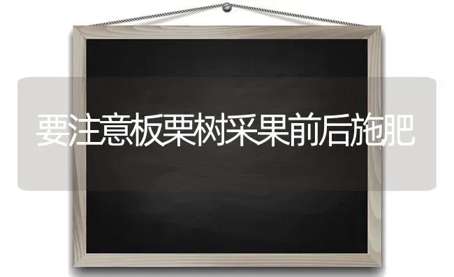 要注意板栗树采果前后施肥 | 瓜果种植