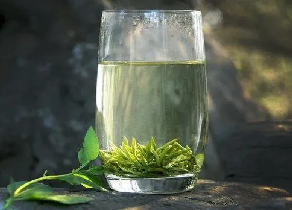植物浇水|茶水能浇花吗 适合浇什么花