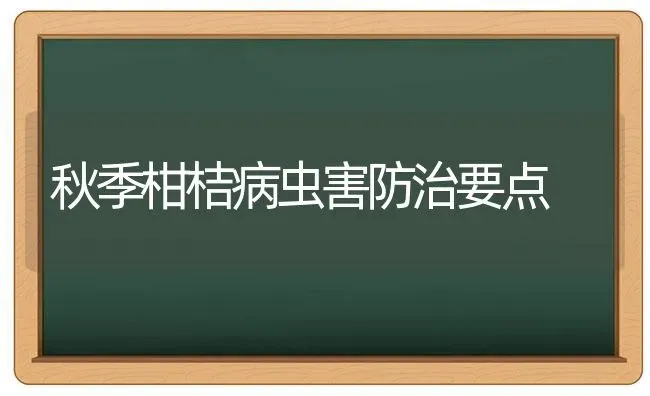 秋季柑桔病虫害防治要点 | 种植病虫害防治