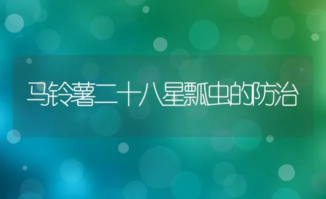 马铃薯二十八星瓢虫的防治 | 粮油作物种植