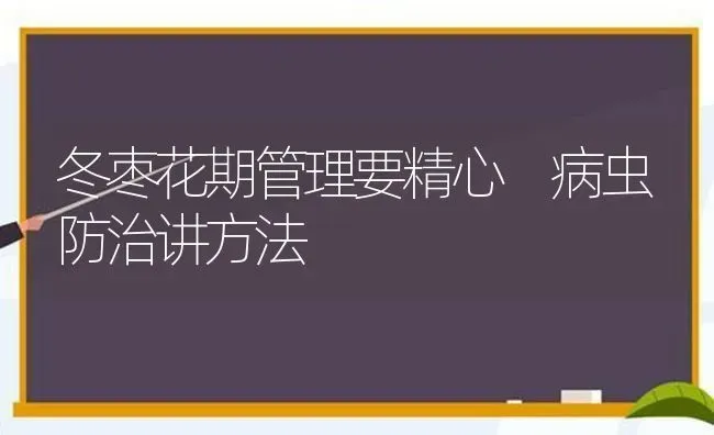 冬枣花期管理要精心 病虫防治讲方法 | 瓜果种植