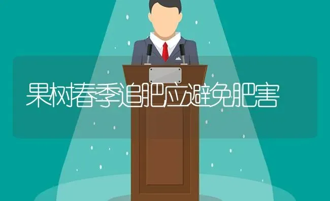果树春季追肥应避免肥害 | 瓜果种植