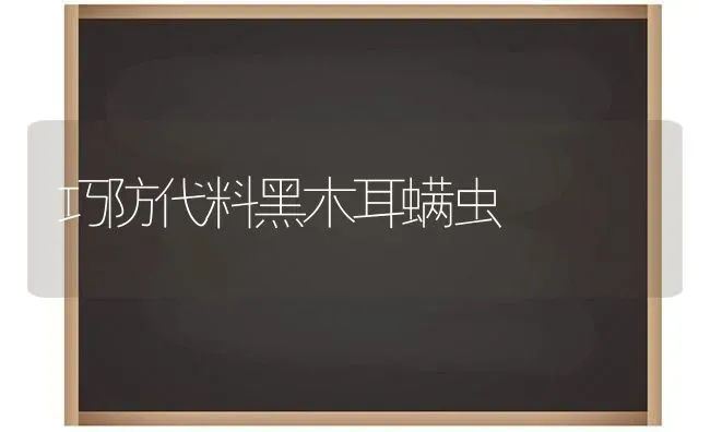 巧防代料黑木耳螨虫 | 食用菌种植