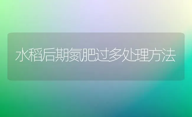 水稻后期氮肥过多处理方法 | 粮油作物种植