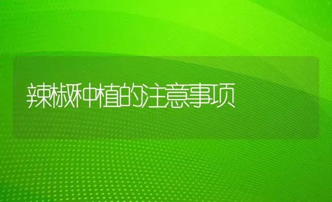 辣椒种植的注意事项 | 植物种植百科