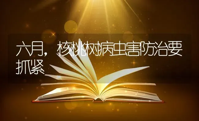 六月，核桃树病虫害防治要抓紧 | 种植病虫害防治