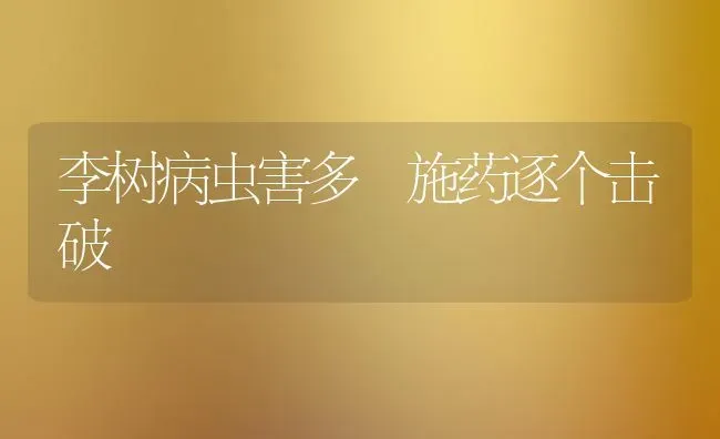 李树病虫害多 施药逐个击破 | 种植病虫害防治