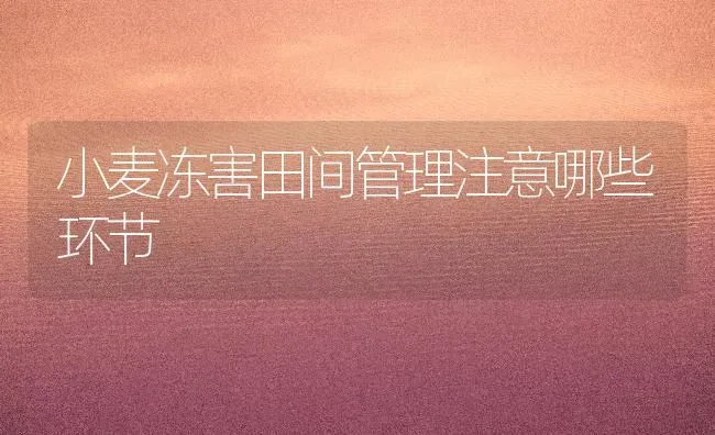 小麦冻害田间管理注意哪些环节 | 粮油作物种植
