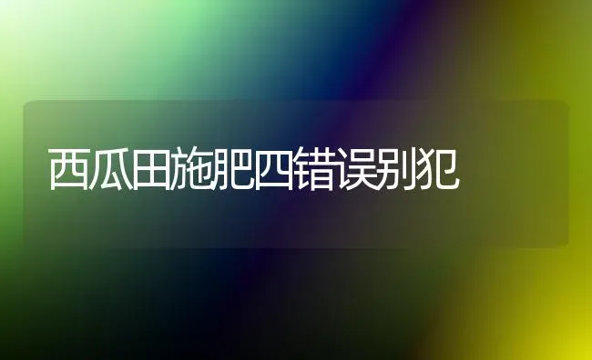 西瓜田施肥四错误别犯 | 种植肥料施肥