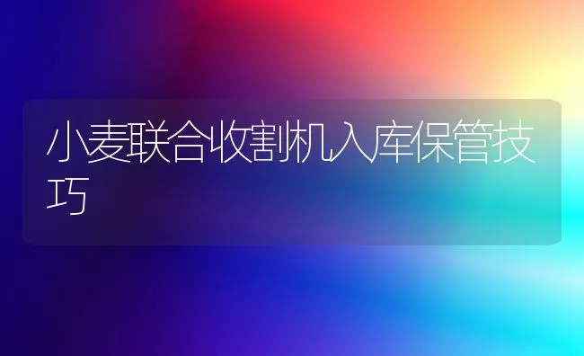 小麦联合收割机入库保管技巧 | 粮油作物种植