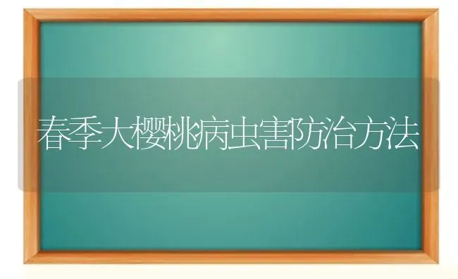 春季大樱桃病虫害防治方法 | 种植病虫害防治