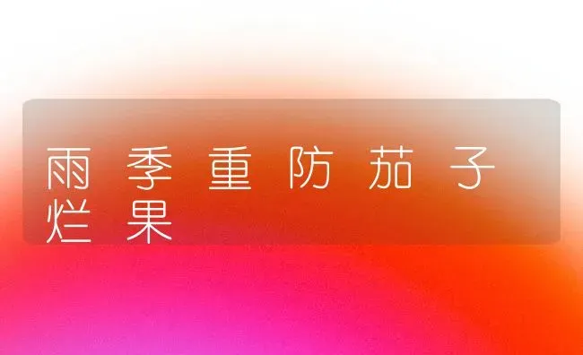 雨 季 重 防 茄 子 烂 果 | 瓜果种植