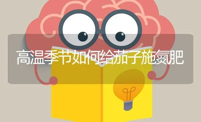 高温季节如何给茄子施氮肥 | 蔬菜种植