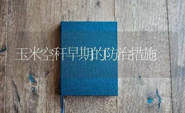 玉米空秆早期的防治措施 | 粮油作物种植