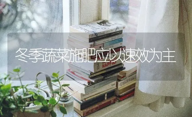 冬季蔬菜施肥应以速效为主 | 蔬菜种植