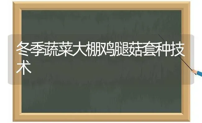 冬季蔬菜大棚鸡腿菇套种技术 | 蔬菜种植